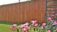 Fence Staining