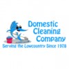 Domestic Cleaning