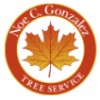 Noe C Gonzalez Tree Service