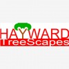 Hayward Tree Scapes