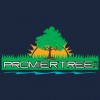 Promier Tree