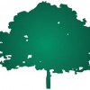 Nashville Tree Care Solutions