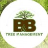 B&B Tree Management