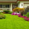 J & M Lawn Service & More