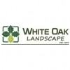 White Oak Landscape