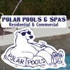 Polar Pools & Spas