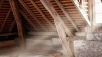 Attic Decontamination & Sanitization