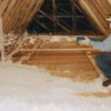 Premier Insulation