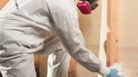 Mold Remediation