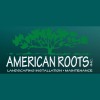 American Roots