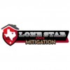 Lone Star State Mitigation